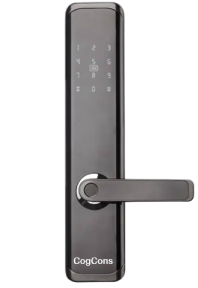 smart door lock